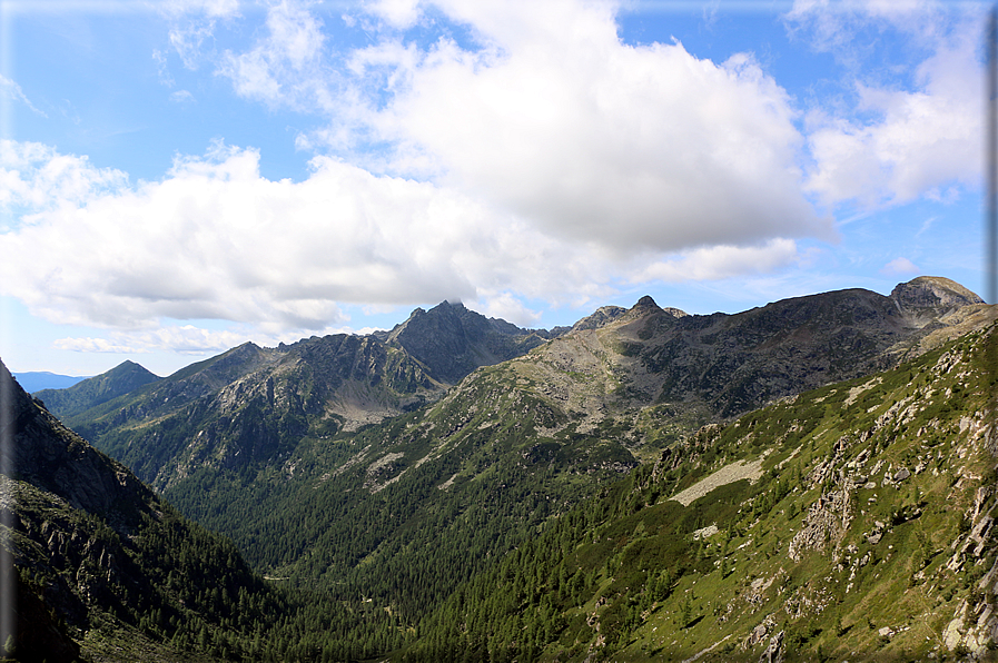 foto Cima D'Asta